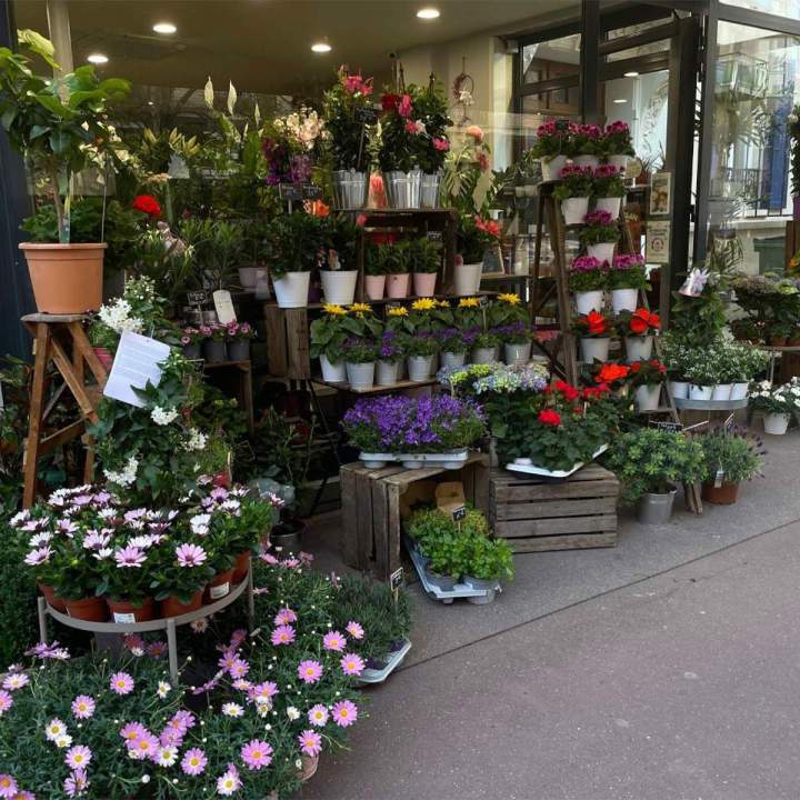 Fleurs aux choix Clamart