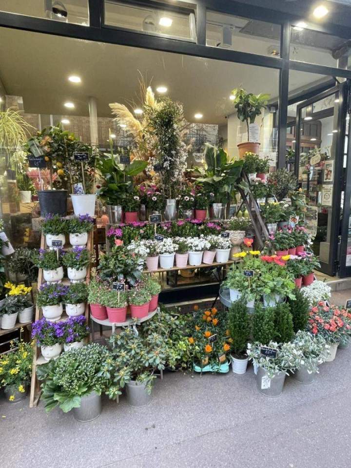 Etals fleurs Clamart