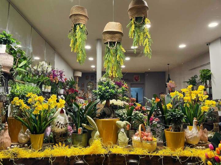 470563544 18006698564688800 7953210045447926951 n