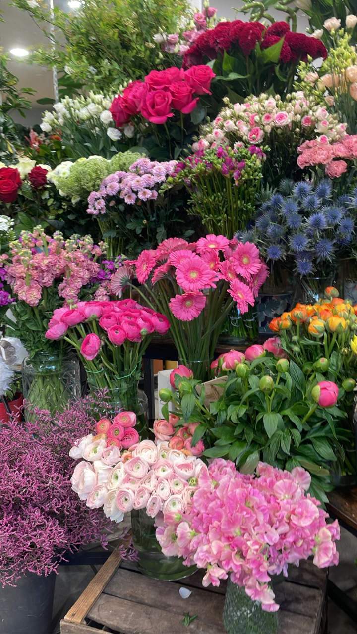 B50B450E B70F 4B56 9887 ADE42C2CCC61