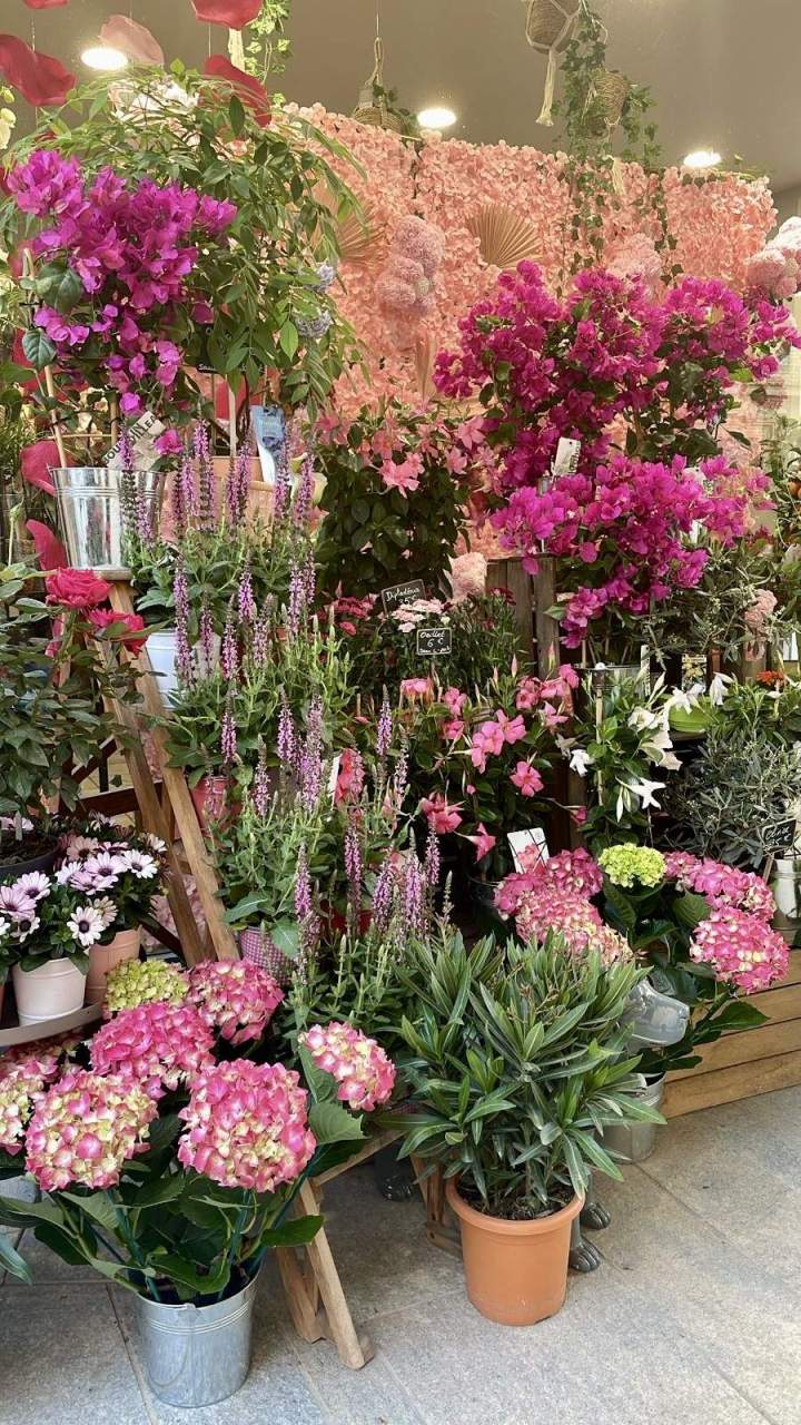 db20e89f c4c5 493f b7b7 7b0fd2496f9b